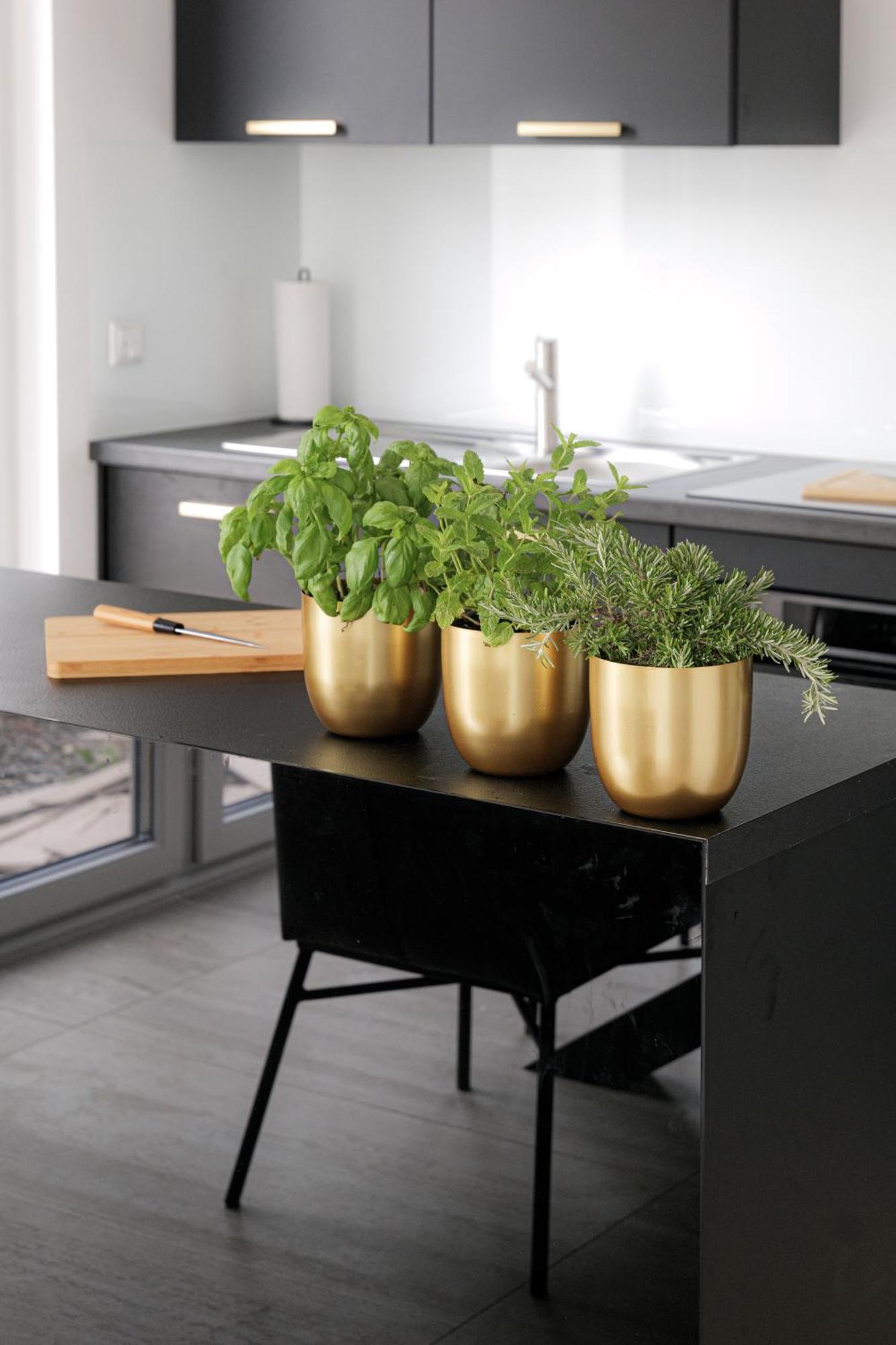 Lulex IV - Traumwohnung Terasse Garten In Нойс Екстериор снимка