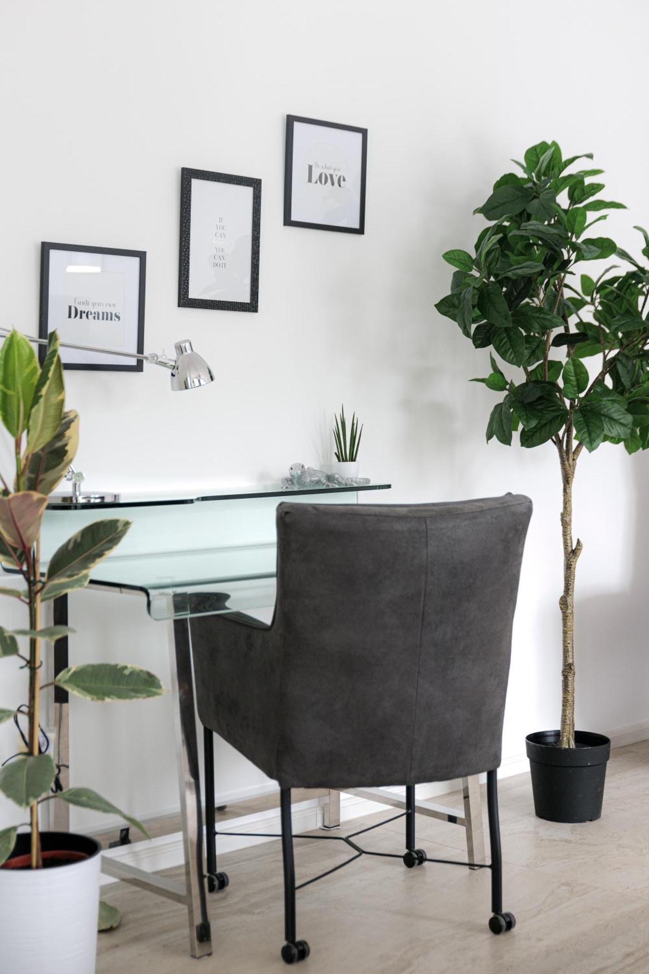 Lulex IV - Traumwohnung Terasse Garten In Нойс Екстериор снимка